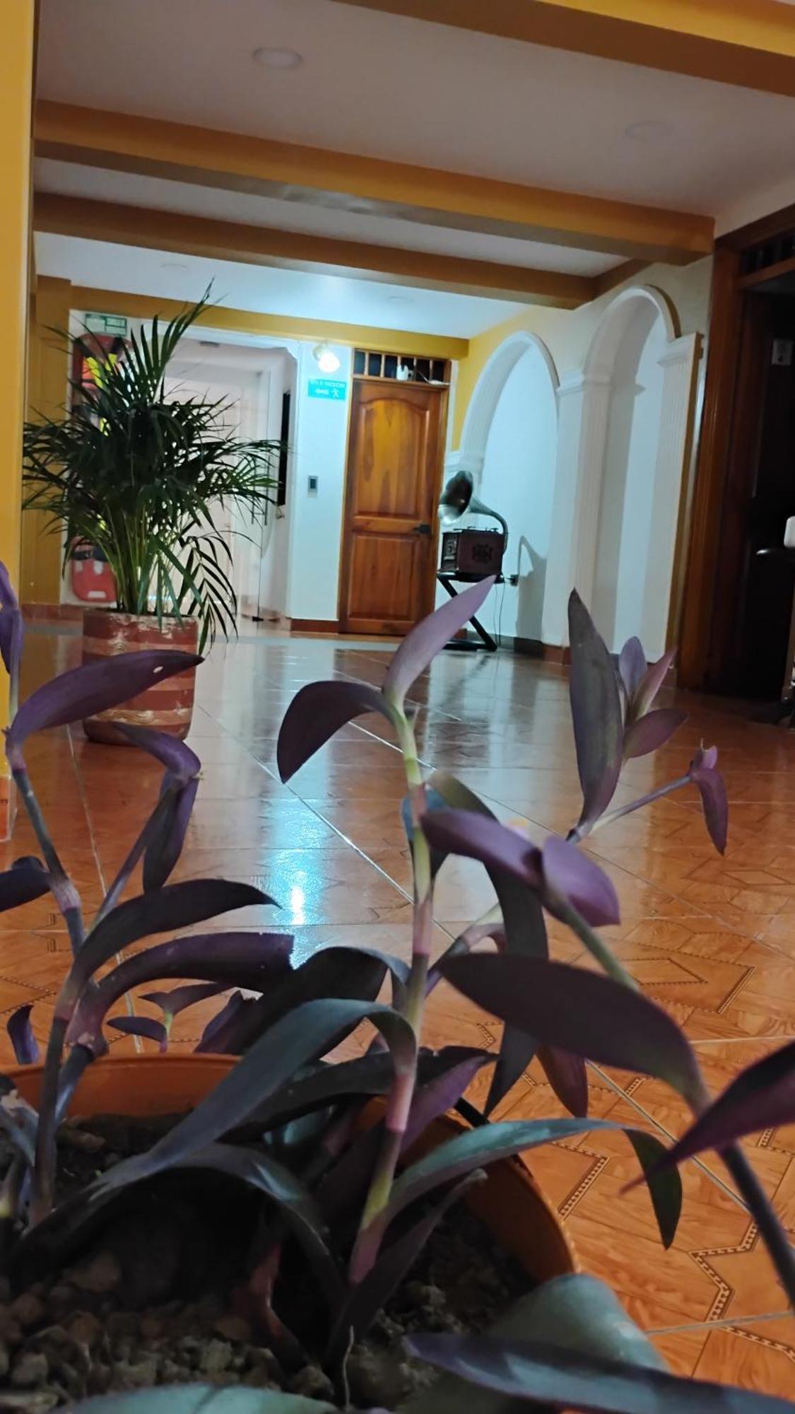 Hotel Shaddai Filandia Exterior foto